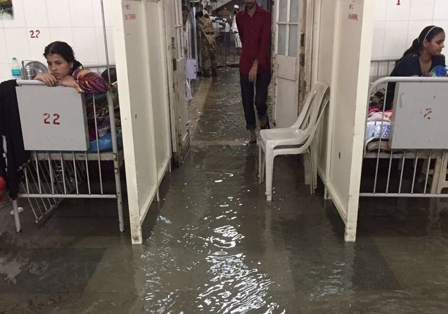 Disaster Response Visualization